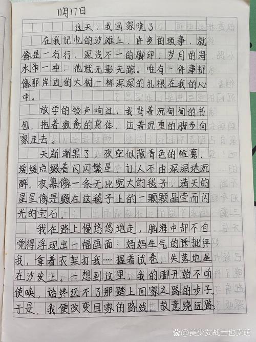 回家初一作作文网