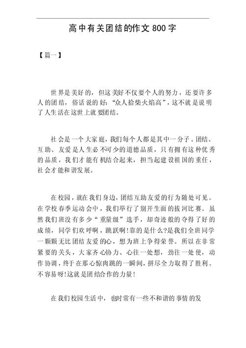 团结作大学作800字高中