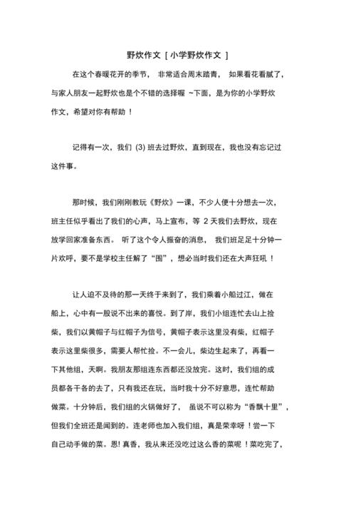 学校野炊作作文400字