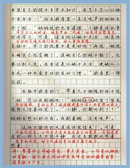 家庭风波四年高考作文作文锦集5篇