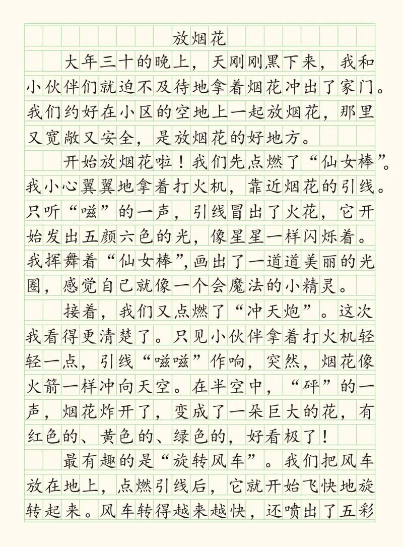 小学烟花作优秀作文集锦