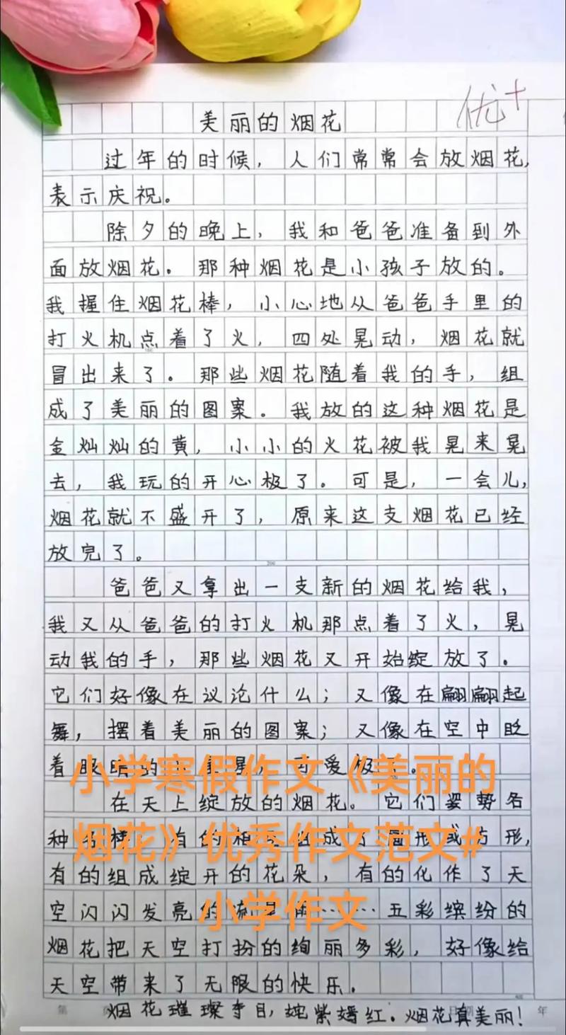 小学烟花作优秀作文集锦