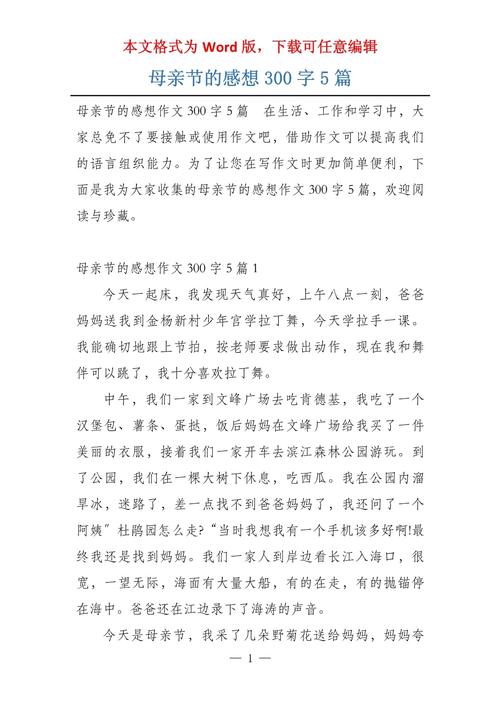 小学生描写母亲节那天的高中作作文300字