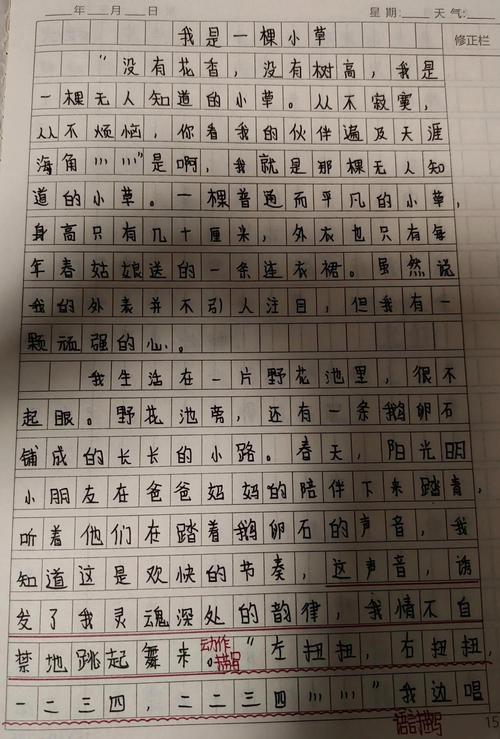 小草自述小学作作文精选5篇