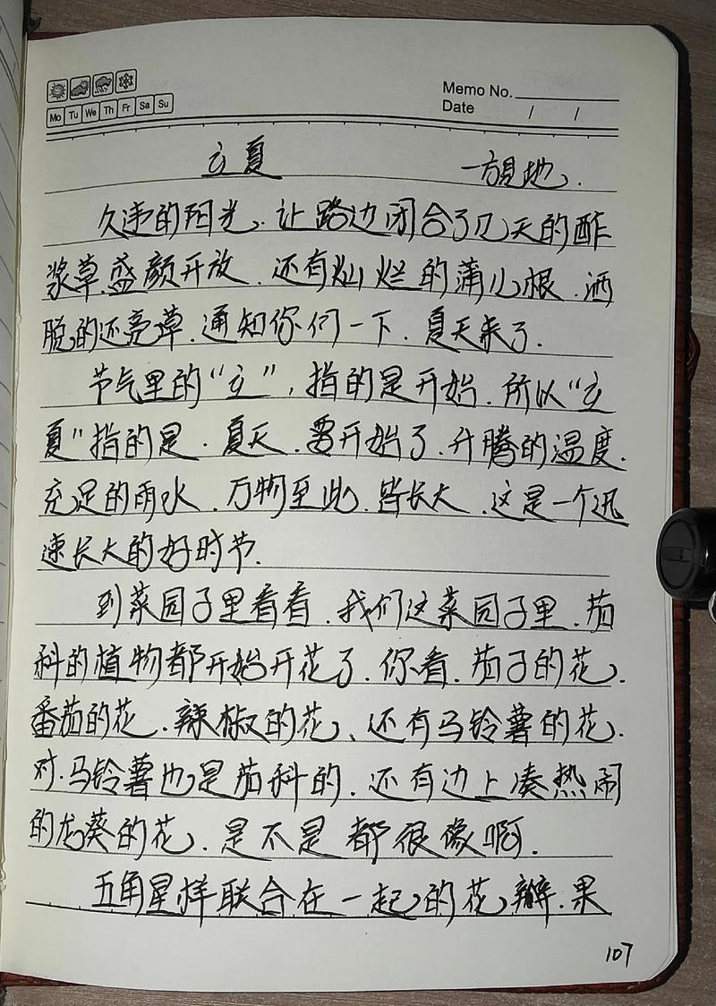 快乐的小学作立夏作文500字（精选6篇）