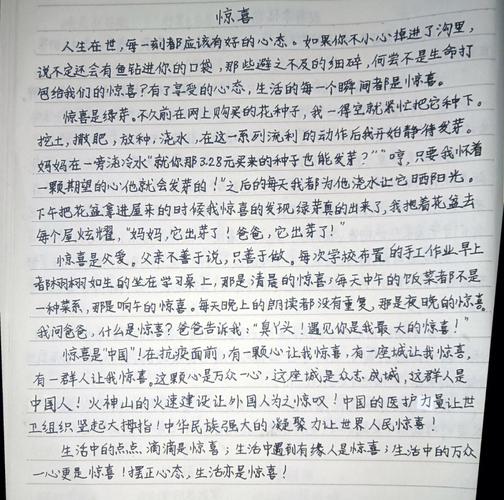 惊喜六年作文素材小学作文经典