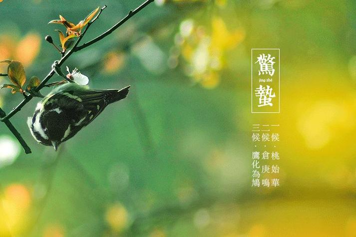 惊蛰作优秀作文680字小学(合集6篇)