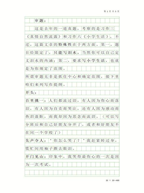 感动的小升初作文瞬间