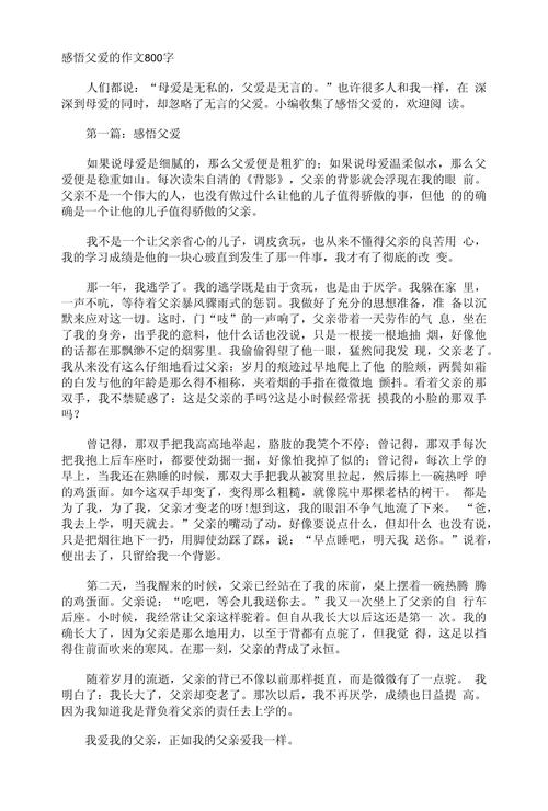 感受父爱作小学作