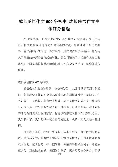 感悟初三作中考作文