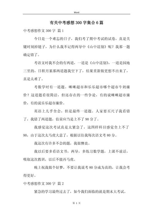 感悟初三作中考作文