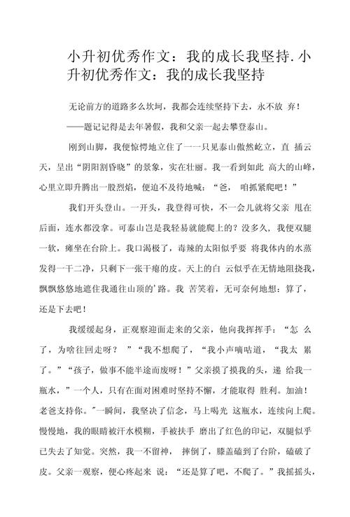我的小升初作文一本课外书作文