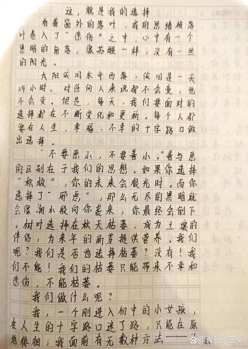 我的看图作文选择作文初二