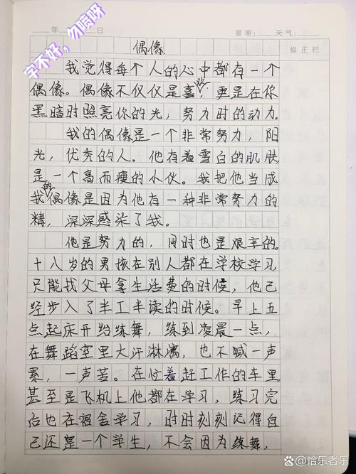 描写偶像的作文作文