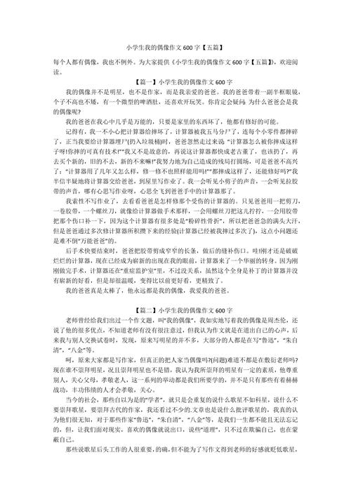 描写偶像的作文作文