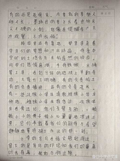最美的小学作地方作文600字作文初中