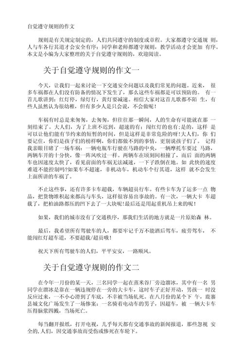 有关于规矩的作文大全作文