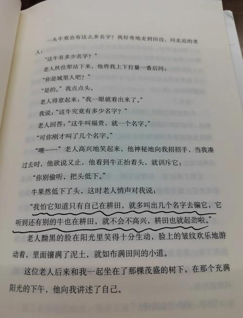 活着读后感1200字