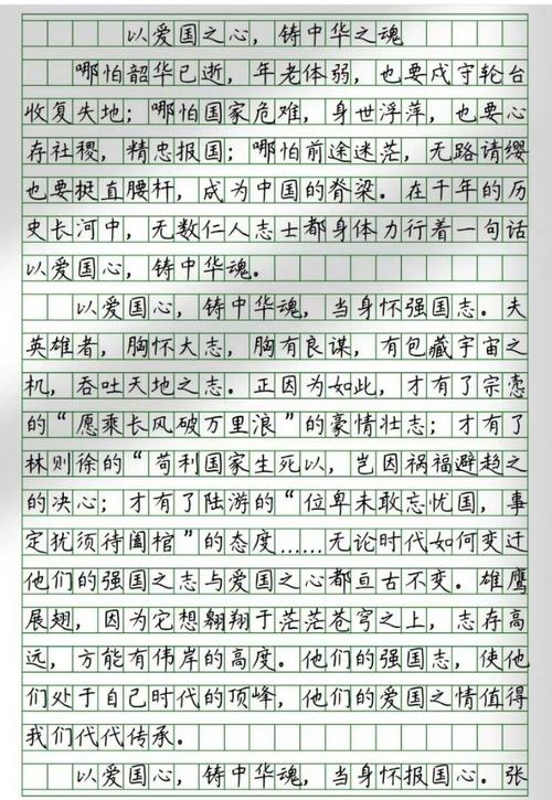 爱国小学作中考作文