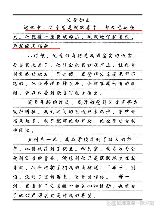 父亲节作小升初作文600字初二