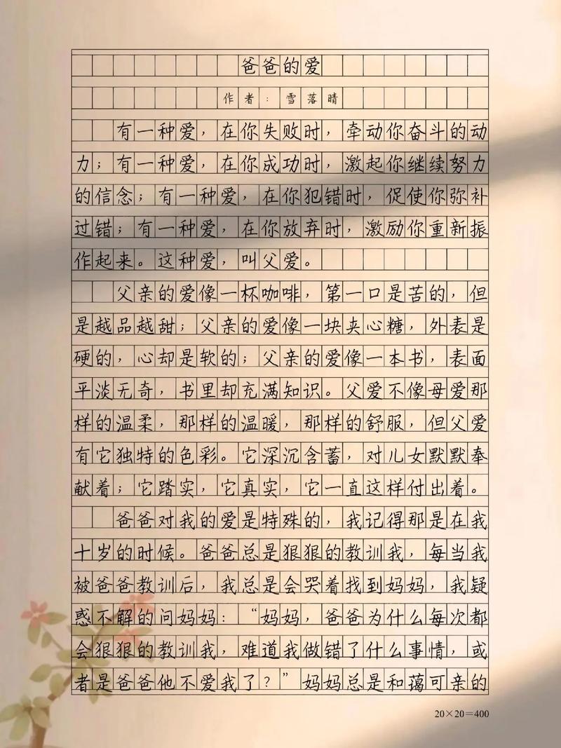 父爱作文800字高中一年高考作文优秀作文