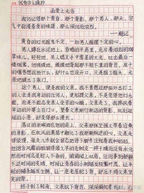 父爱作文800字高中一年高考作文优秀作文
