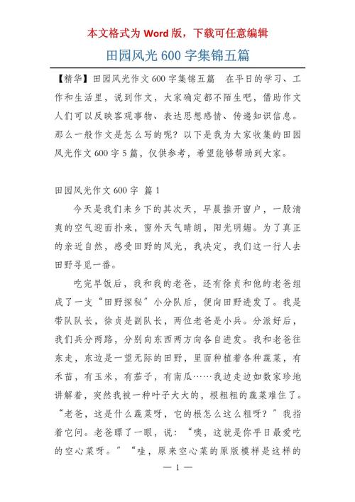 田园风光作高中作600字（集锦6篇）
