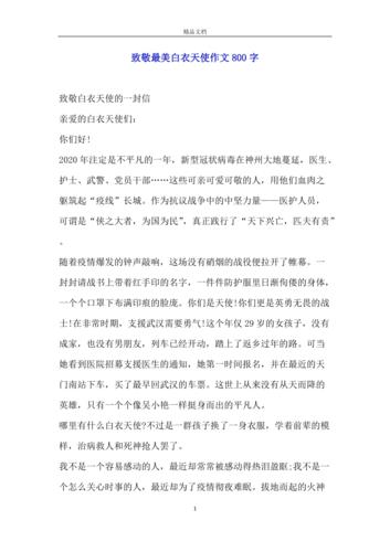 白衣天使作高考作文800字