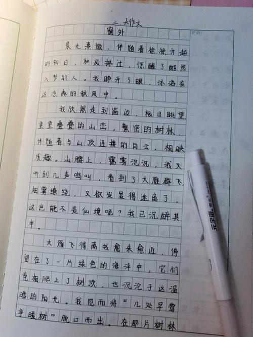 窗外作高中作600字初一
