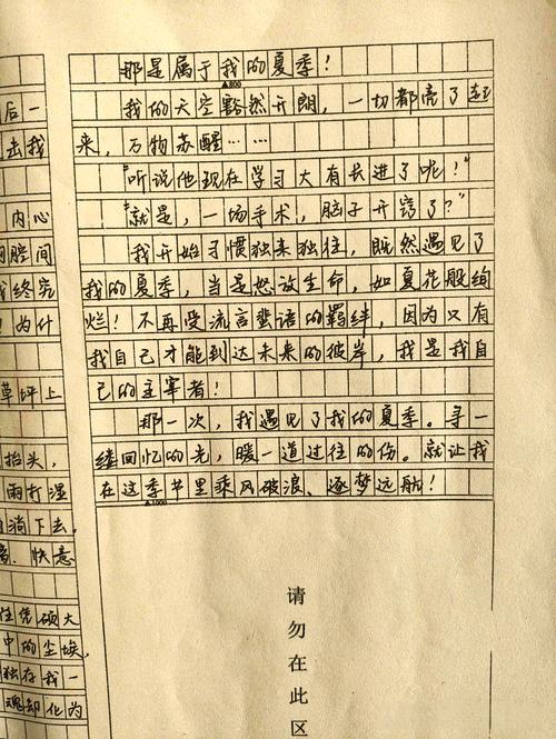 绝望中最美的高中作遇见作文