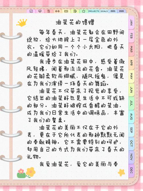 美丽的高中作油菜花作文400字四年级精选