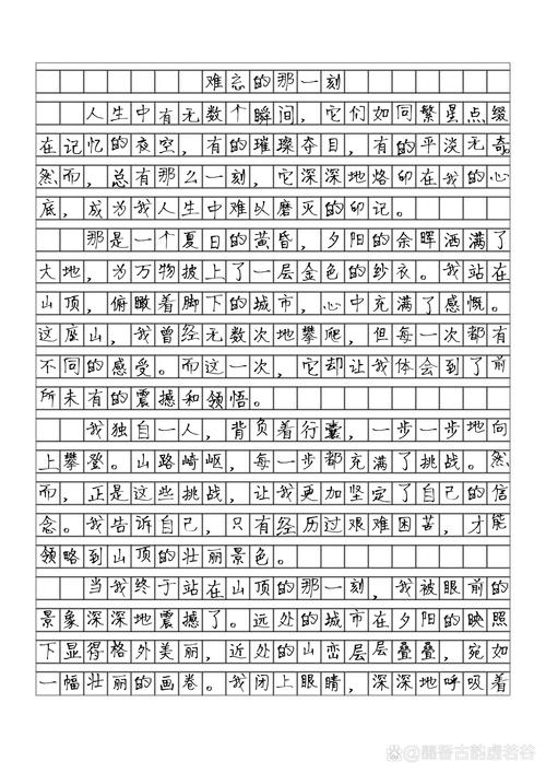 考试的小升初作文那一刻作文600字