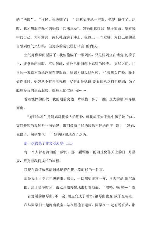 考试的小升初作文那一刻作文600字