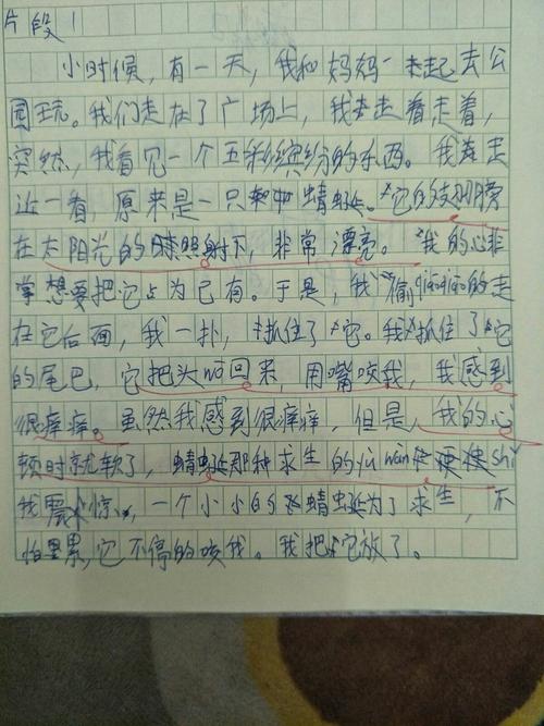 联想小学作看图作文