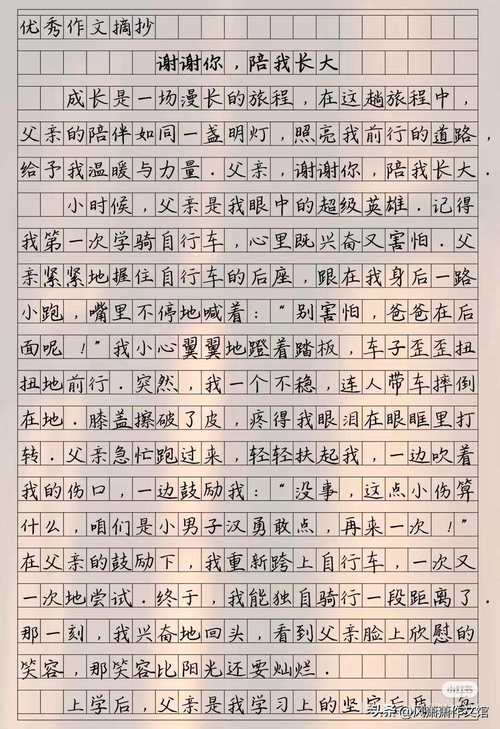 谢谢你陪我三年六年级作文作文