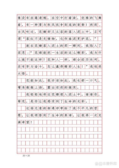 遇见作大学作600字记叙文初中