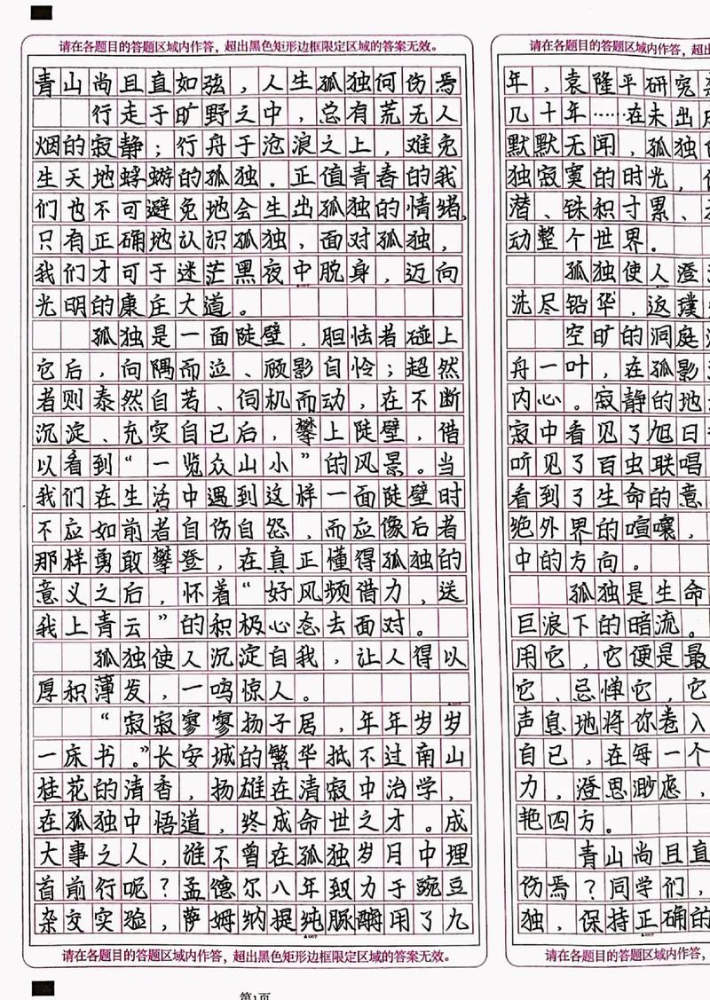 陕西高考2017年满分作文：文人的中考作文傲骨