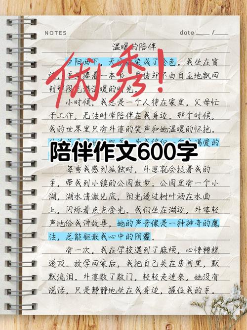 陪伴作大学作600字初一
