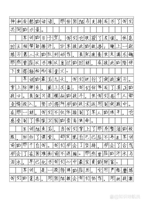 高一军训作作文素材350字左右