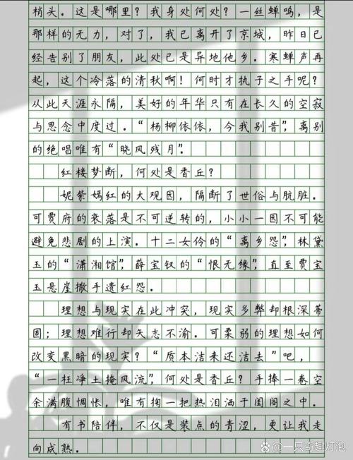 高一温暖的作文素材陪伴作文800字（个人通用）