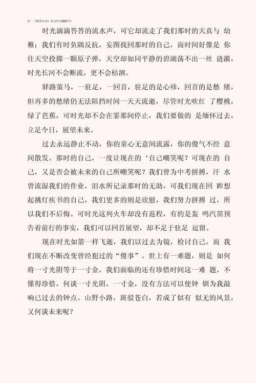高三展望未来作看图作文800字
