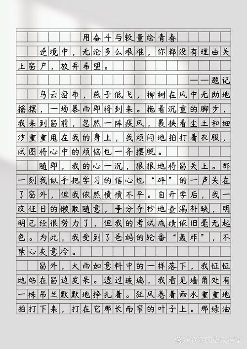 高考2017年内蒙古满分作文：也谈“敢于正视”优秀作文