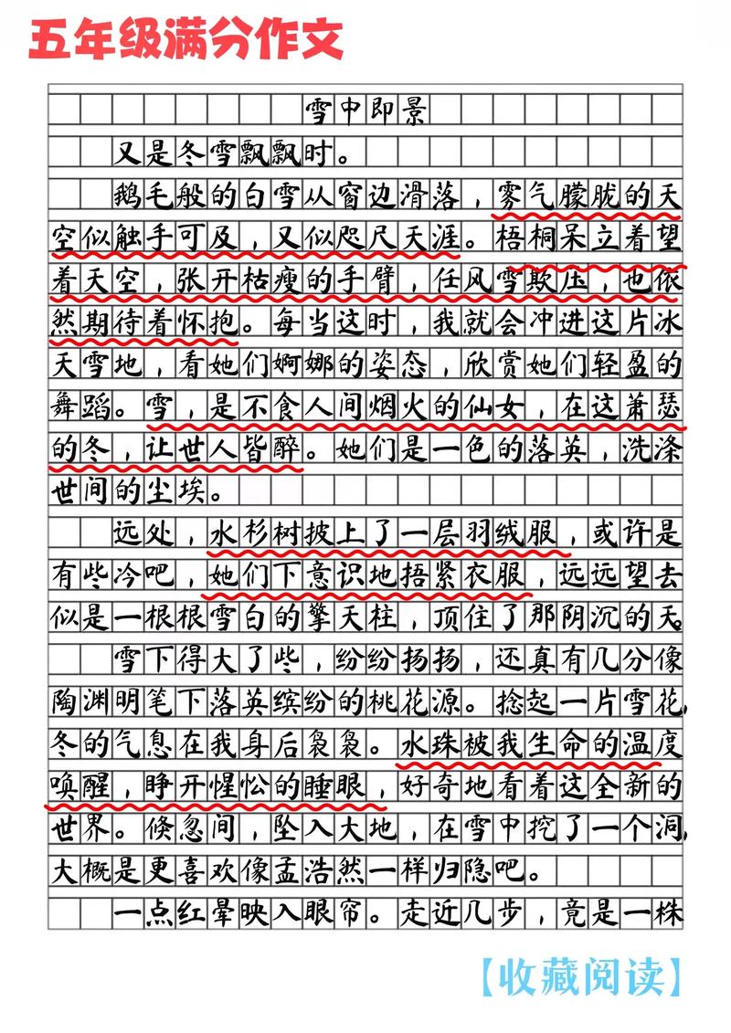 北京暴雪作中考作文500字左右优秀