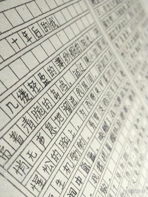 十年后的初中作我作文600初一