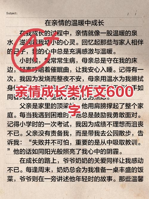 围绕亲情为主题的作文网作文600字初中范文（精选5篇）