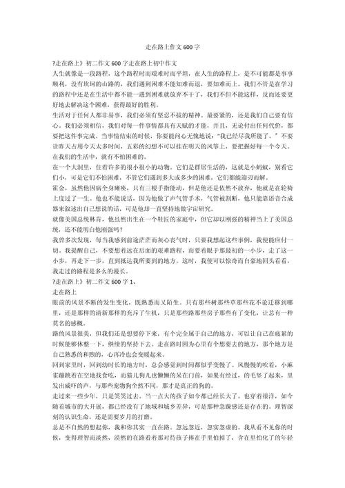 在路上作作文素材600字左右初三