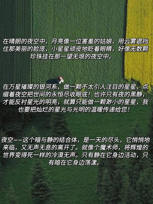夜空作大学作600字