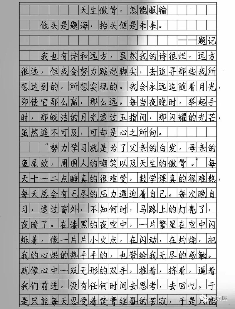 宁夏高考2017年满分作文：文人的小升初作文傲骨