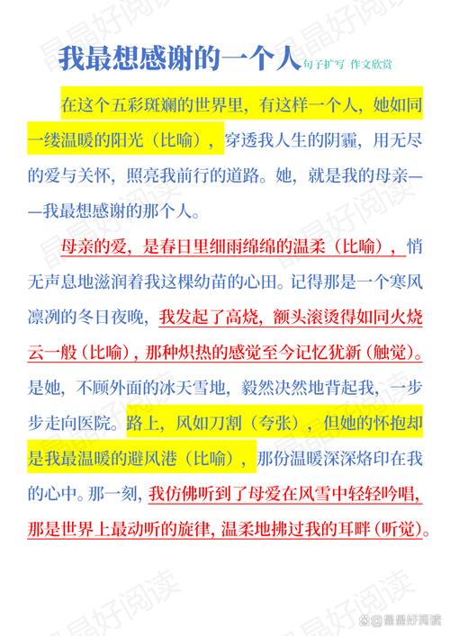 小学我最想感谢的初中作人400字作文（个人通用）