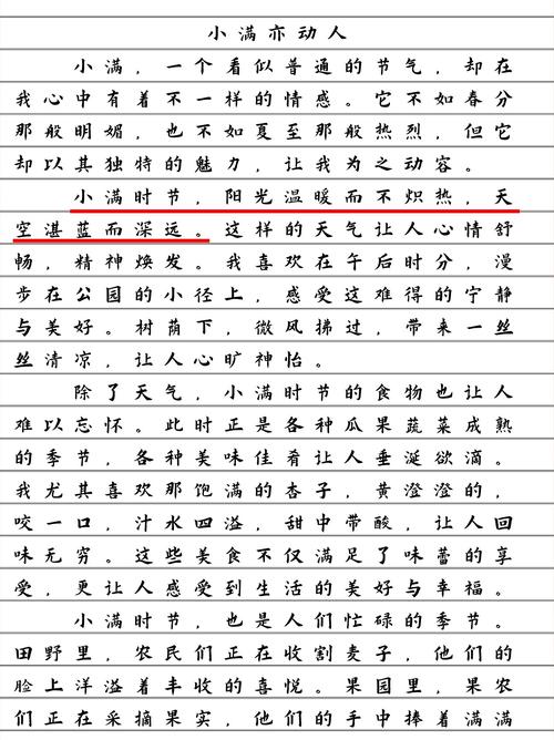 小满作文600字六年高中作（优秀6篇）